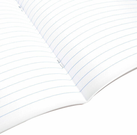 Тетрадь предметная DOG БОБИК 48 л., TWIN-лак, ЛИТЕРАТУРА, линия, подсказ, BRAUBERG, 404790