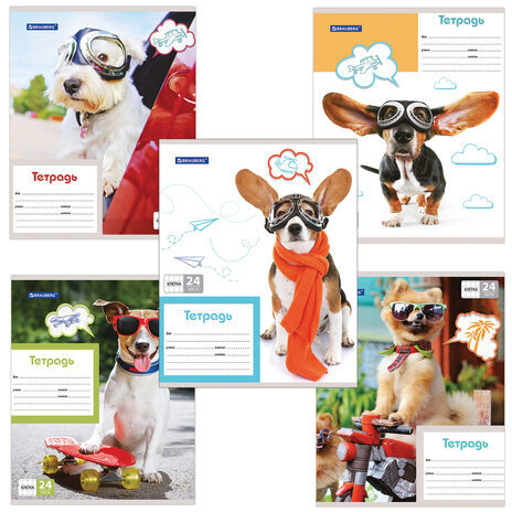 Тетрадь 24 л. BRAUBERG, клетка, обложка картон, MY BEST FRIEND, 403007