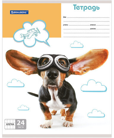 Тетрадь 24 л. BRAUBERG, клетка, обложка картон, MY BEST FRIEND, 403007