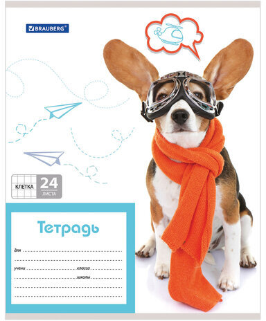 Тетрадь 24 л. BRAUBERG, клетка, обложка картон, MY BEST FRIEND, 403007