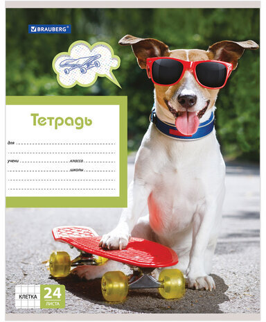 Тетрадь 24 л. BRAUBERG, клетка, обложка картон, MY BEST FRIEND, 403007