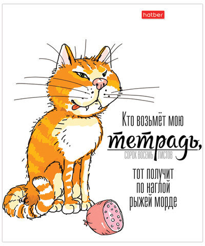 Тетрадь А5, 48 л., HATBER, скоба, клетка, матовая ламинация, "Кто возьмет тетрадь" (5 видов в спайке), 48Т5лВ1