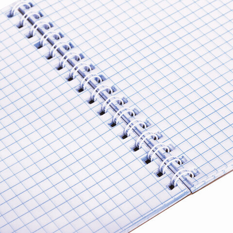 Блокнот А5 (165х205 мм), 60 л., гребень, картон, выборочный УФ-лак, клетка, ПЗБМ, Крафт, 099536