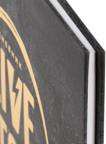 Дневник 5-11 класс 48 л., твердый, BRAUBERG, фольга, с подсказом, "Музыка", 106418