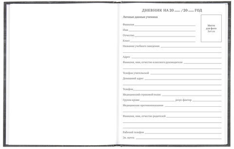 Дневник 5-11 класс 48 л., твердый, BRAUBERG, фольга, с подсказом, "Музыка", 106418