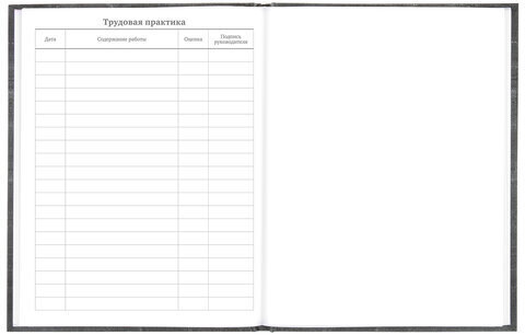 Дневник 5-11 класс 48 л., твердый, BRAUBERG, фольга, с подсказом, "Музыка", 106418