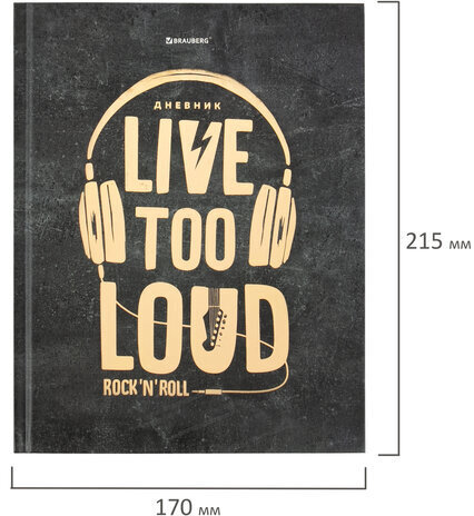 Дневник 5-11 класс 48 л., твердый, BRAUBERG, фольга, с подсказом, "Музыка", 106418