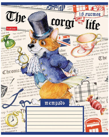 Тетрадь 18 л. HATBER клетка, обложка картон, "Корги_LIFE" (5 видов в спайке), 18Т5В1