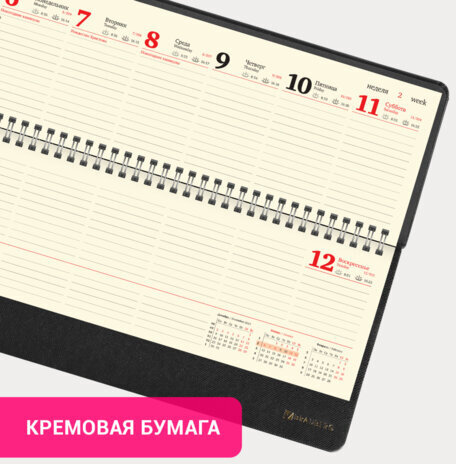 Планинг датированный 2025 305х140 мм BRAUBERG "Iguana", под кожу, черный, 115693