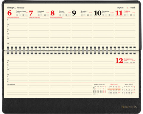 Планинг датированный 2025 305х140 мм BRAUBERG "Iguana", под кожу, черный, 115693