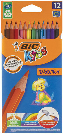Карандаши цветные BIC "Kids ECOlutions Evolution", 12 ЦВЕТОВ, пластиковые, европодвес, 82902914