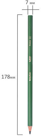 Карандаши цветные BIC "Kids ECOlutions Evolution", 12 ЦВЕТОВ, пластиковые, европодвес, 82902914