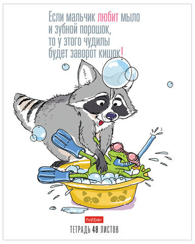 Тетрадь, А5, 48 л., HATBER, скоба, клетка, обложка картон, "Прикольный Енот" (5 видов в спайке), 48Т5В1