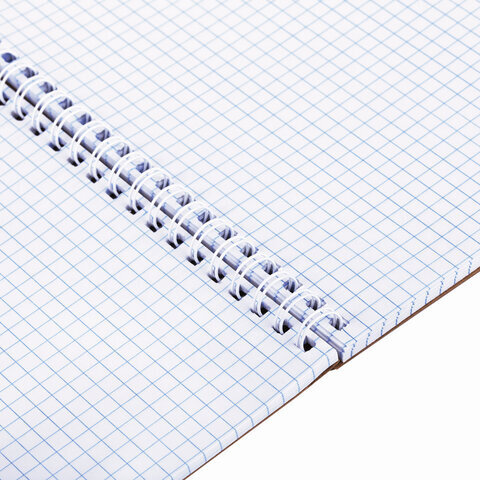 Блокнот БОЛЬШОЙ ФОРМАТ (200х290 мм), А4, 80 л., гребень, картон, УФ-лак, клетка, ПЗБМ, Крафт, 099529