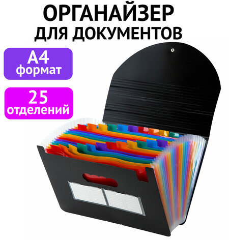 Папка-органайзер для бумаг и документов на резинке, 25 отделений, BRAUBERG DOCS, А4, черная, 271151
