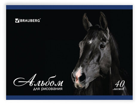 Альбом для рисования, А4, 40 листов, скоба, обложка картон, BRAUBERG, 200х283 мм, "Благородные кони" (2 вида), 103728