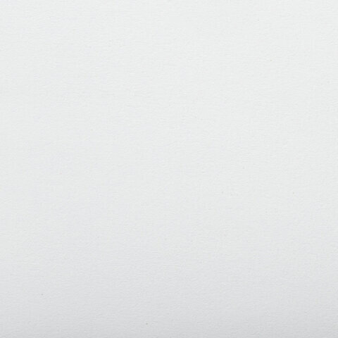 Альбом для рисования, А4, 40 листов, скоба, обложка картон, BRAUBERG, 200х283 мм, "Благородные кони" (2 вида), 103728