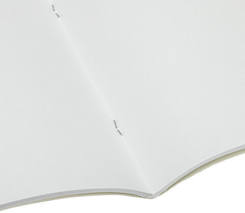 Альбом для рисования, А4, 40 листов, скоба, обложка картон, BRAUBERG, 200х283 мм, "Благородные кони" (2 вида), 103728