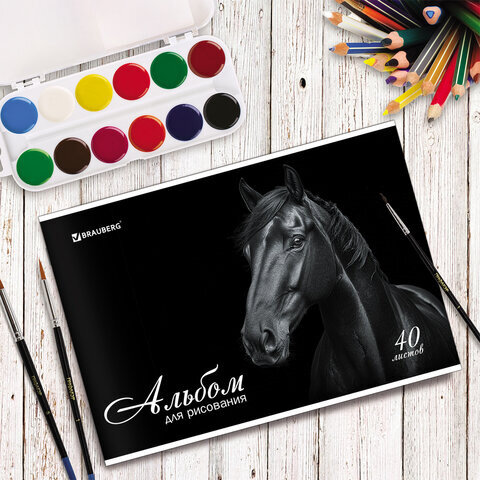 Альбом для рисования, А4, 40 листов, скоба, обложка картон, BRAUBERG, 200х283 мм, "Благородные кони" (2 вида), 103728