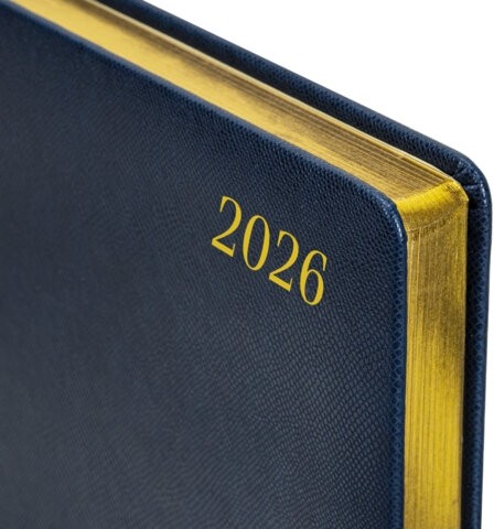 Ежедневник датированный 2026 БОЛЬШОЙ ФОРМАТ 210х297 мм, А4, BRAUBERG "Iguana", под кожу, синий, 117245