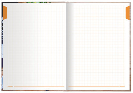 Блокнот БОЛЬШОЙ ФОРМАТ (215х295 мм) А4, 160 л., твердый, клетка, блок 5 цветов, BRAUBERG, "Офис", 111590