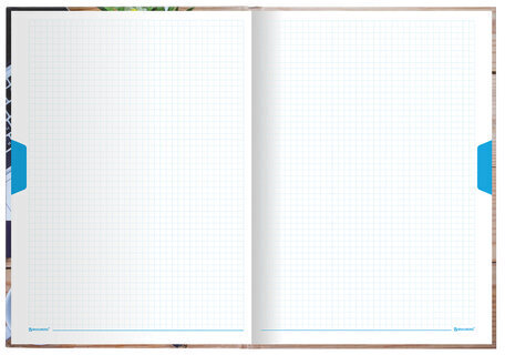 Блокнот БОЛЬШОЙ ФОРМАТ (215х295 мм) А4, 160 л., твердый, клетка, блок 5 цветов, BRAUBERG, "Офис", 111590