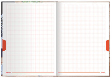 Блокнот БОЛЬШОЙ ФОРМАТ (215х295 мм) А4, 160 л., твердый, клетка, блок 5 цветов, BRAUBERG, "Офис", 111590