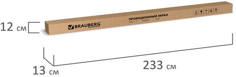 Экран проекционный настенный (200х200 см), матовый, 1:1, BRAUBERG "WALL", 236727