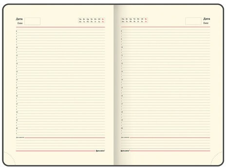Ежедневник недатированный БОЛЬШОЙ ФОРМАТ 210х297 мм А4, BRAUBERG "Status", 160л, черный, 113360