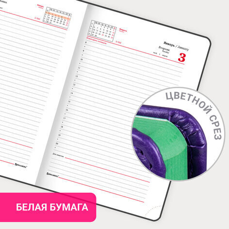 Ежедневник датированный 2023 А5 138x213 мм BRAUBERG "Rainbow", под кожу, сиреневый, 114052