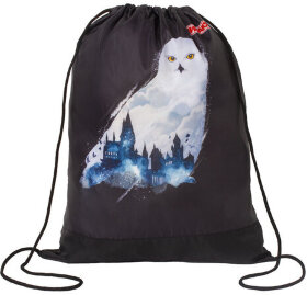 Мешок для обуви ПИФАГОР, 1 отделение, 42х34 см, &quot;White Owl&quot;, 270182