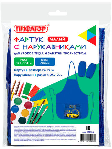 Фартук с нарукавниками для уроков труда ПИФАГОР, 1 карман, 44x55 см, "Racing car", 270926