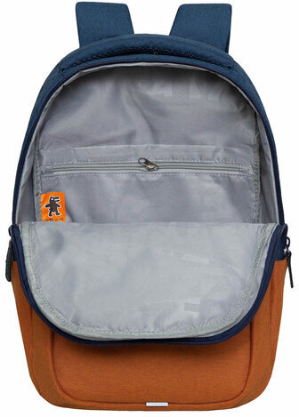 Рюкзак GRIZZLY школьный, укрепленная спинка, 2 отделения, для девочек, BLUE/ORANGE, 43х27,5х16 см, RD-341-2/3