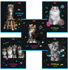 Тетрадь А5 48 л. HATBER скоба, клетка, глянцевая ламинация, &quot;МУРчат Коты&quot; (5 видов в спайке), 48Т5лВ1