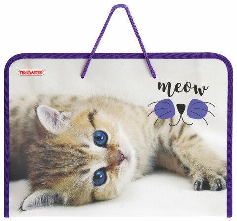 Папка для труда на молнии с ручками ПИФАГОР, А4, 1 отделение, пластик, органайзер, "Kitten", 229135