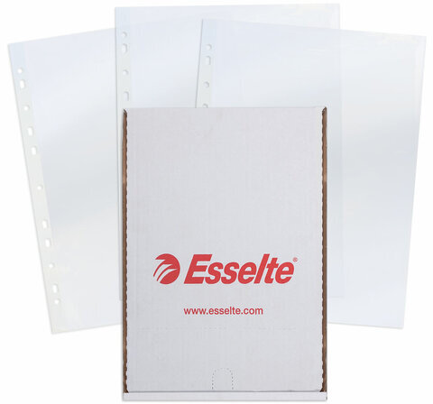 Папки-файлы перфорированные, А4, ESSELTE "Standard", комплект 100 шт., глянцевые, 55 мкм, 56066