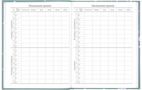 Дневник 5-11 класс 48 л., твердый, BRAUBERG, блестки, с подсказом, "Кактусы", 106420