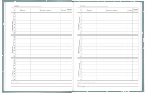 Дневник 5-11 класс 48 л., твердый, BRAUBERG, блестки, с подсказом, "Кактусы", 106420