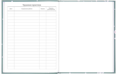 Дневник 5-11 класс 48 л., твердый, BRAUBERG, блестки, с подсказом, "Кактусы", 106420