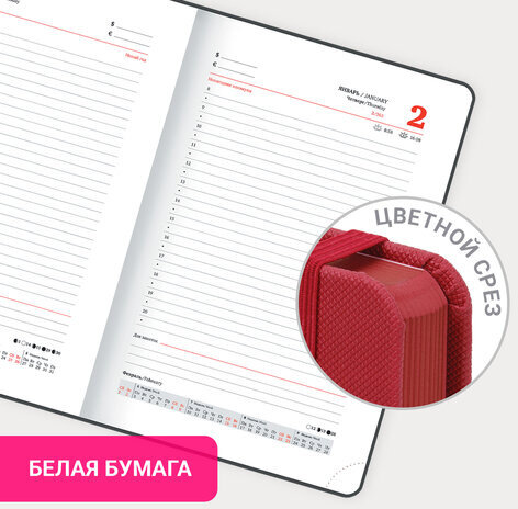 Ежедневник датированный 2025, А5, 138х213 мм, BRAUBERG "Plain", под кожу, резинка, держатель для ручки, красный, 115918