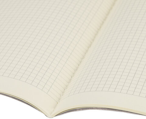 Тетрадь 40 л. в клетку обложка SoftTouch, бежевая бумага 70 г/м2, сшивка, А5 (147х210 мм), HOT PEPPERS, BRAUBERG, 403779