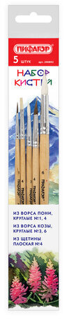 Кисти ПИФАГОР, набор 5 шт. (ПОНИ: круглые № 1, 4; КОЗА: круглые № 3, 6; ЩЕТИНА: плоская № 4), пакет с европодвесом, 200892