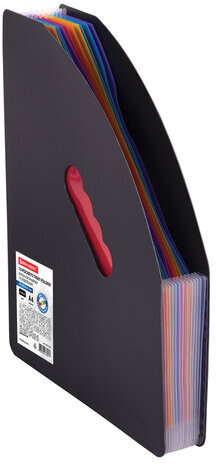 Лоток-органайзер вертикальный для бумаг и документов, 13 отделений, BRAUBERG DOCS, А4 черный, 271153