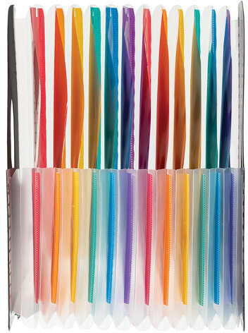 Лоток-органайзер вертикальный для бумаг и документов, 13 отделений, BRAUBERG DOCS, А4 черный, 271153