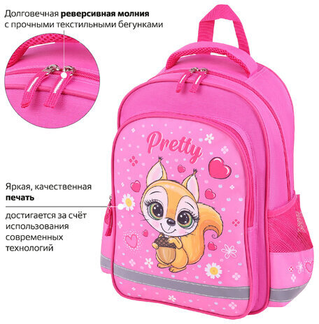 Рюкзак ПИФАГОР SCHOOL, 1 отделение, 3 кармана, "Squirrel", 38x28х14 см, 271404