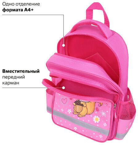 Рюкзак ПИФАГОР SCHOOL, 1 отделение, 3 кармана, "Squirrel", 38x28х14 см, 271404