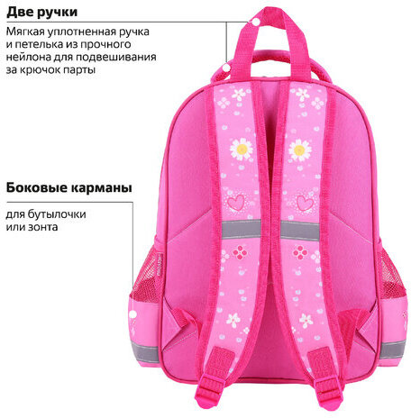 Рюкзак ПИФАГОР SCHOOL, 1 отделение, 3 кармана, "Squirrel", 38x28х14 см, 271404