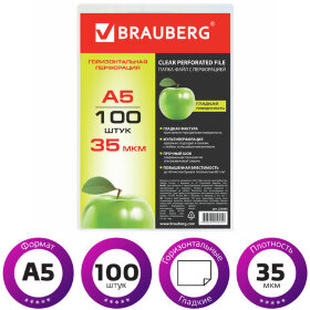 Папки-файлы МАЛОГО ФОРМАТА (148х210 мм), А5, ГОРИЗОНТАЛЬНЫЕ, КОМПЛЕКТ 100 шт., 35 мкм, BRAUBERG, 223085