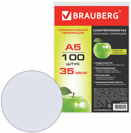 Папки-файлы МАЛОГО ФОРМАТА (148х210 мм), А5, ГОРИЗОНТАЛЬНЫЕ, КОМПЛЕКТ 100 шт., 35 мкм, BRAUBERG, 223085