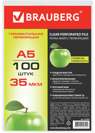 Папки-файлы МАЛОГО ФОРМАТА (148х210 мм), А5, ГОРИЗОНТАЛЬНЫЕ, КОМПЛЕКТ 100 шт., 35 мкм, BRAUBERG, 223085